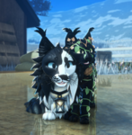 shay's stable !! Group Thumbnail