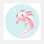 #Axolotl_Team