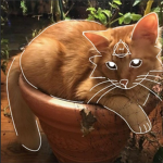 Ť̮h̺̉erḯ̦à̫ns ̦̀w̛͎e̥̓lco̘͞m͎̔ẻ̱!