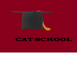 Cat school