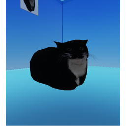 Gato
