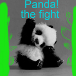 the panda united of pandas