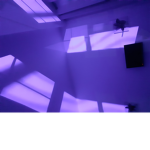 Glitching Dragon