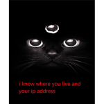 0909090909099090999999999999999999cat