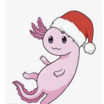 Axolotl buddies