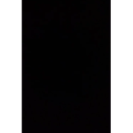 EPIC_RATS