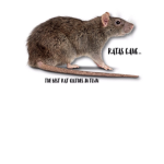 Ratas gang