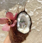 - cocoas seaside! -