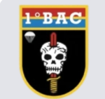 |BATALHÃO DE AÇÕES DE COMANDOS|