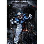 Clownetts