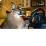 floppa sim racing