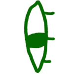 Project Emerald Eye
