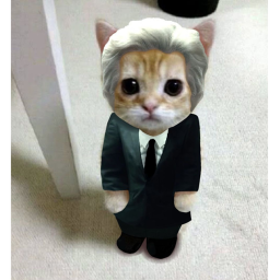 Escape from El gato