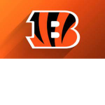 Bengals Fan Club :)