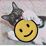 The Cheesy Cat Club