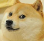 Home of mighty Doges