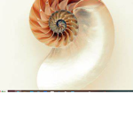 Seashell Boarding School