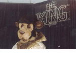 Pizza Time Theatre KINGdom