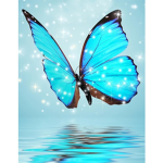 Blue butterfly club