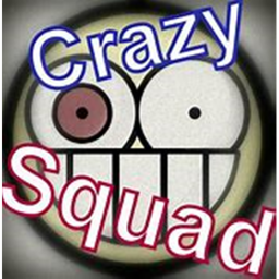 THE CRAZY CITY