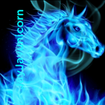 The purple unicorn amey