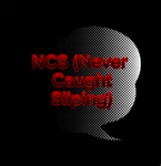 NCS (Never Caught Sliping)
