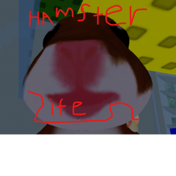 Secret Life Of a Hamster