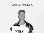 Justin Bieber Fans & Beliebers!