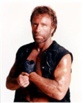 Chuck Norris's apprentices