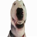 Walter Fan Base
