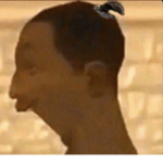 finswid willysnort