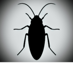 Shadow_company_roach