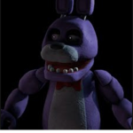 Bunnie.Co