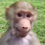 1ukis Group Thumbnail