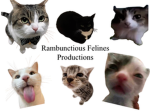 Rambunctious Feline Studios