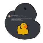 Submission Duck