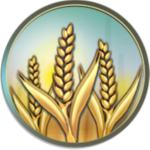 The Wheat Family