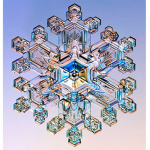 theblackinice
