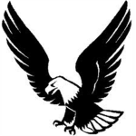 Elite Eagles Of Roblox