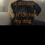 plz donate i am making a homestore