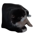 Roblox entity thumbnail
