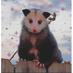/ pooping possums/