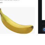 Bananas will rule the world