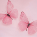 Pink unicorns!!!!