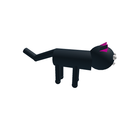 Kitten