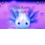 The ##### AXOLOTL’S