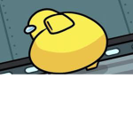 Hi I will pay bobux