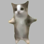 猫大好きグループ(犬)