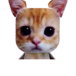El Gato’s Club