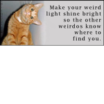 Team Weird People